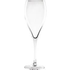 Transparent Champagne Glasses Olympia Cocktail Champagne Glass 17cl 12pcs