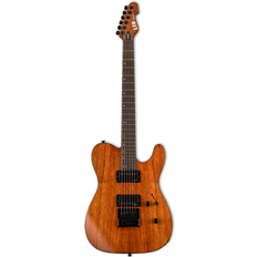 ESP Electric Guitar ESP LTD TE-1000 Evertune