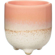 Green Egg Cups Sass & Belle Mojave Glaze Egg Cup