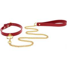 Taboom O-Ring Collar and Chain Leash
