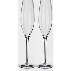 Transparent Champagne Glasses Waterford Elegance Optic Classic Champagne Glass 29.8cl 2pcs