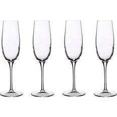 Dishwasher Safe Champagne Glasses Luigi Bormioli Crescendo Champagne Glass 4pcs