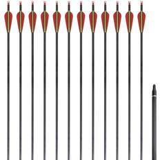 Archery vidaXL Standard Recurve Bow Arrows 12pcs