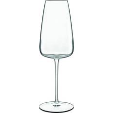 Champagne Glasses Luigi Bormioli Bormiloi, Talismano Prosecco Glasses, Set of 4 Champagne Glass
