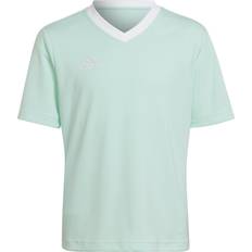 Turquoise T-shirts Children's Clothing adidas Trænings T-Shirt Entrada Grøn/Hvid Børn 164