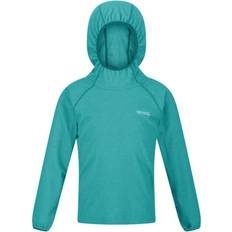Turquoise Hoodies Children's Clothing Regatta Childrens/kids Loco Microstripe Hoodie (turquoise/white)
