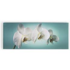 White Framed Art Graham & Brown For The Home Teal Orchid Canvas Framed Art