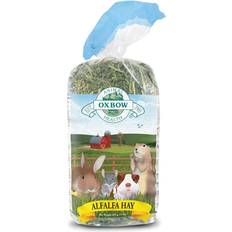 Oxbow Animal Health Alfalfa Hay Small Animal