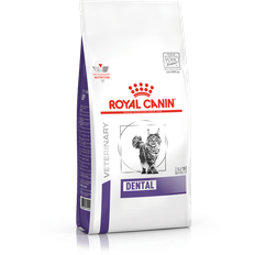 Dogs - Dry Food Pets Royal Canin Dental Adult Dry Cat Food 3