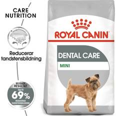 Royal Canin Mini Dental Care Dry Dog 3kg