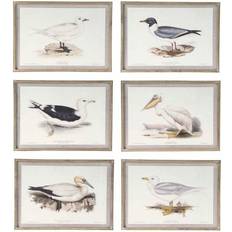 Dkd Home Decor Fåglar (70 x 2,5 x 50 cm) (6 antal) Framed Art