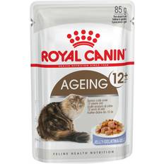 Royal Canin Fhn Ageing +12 Jelly 85G