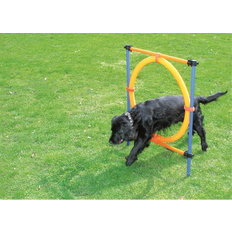 Afp PAWISE Agility Ring