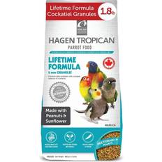Hagen Tropican Bird Food, HARI Parrot