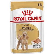 Royal Canin Cats - Wet Food Pets Royal Canin Poodle (In Loaf) 85g