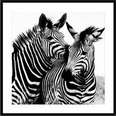 Glass Framed Art Versa Zebra Krystal (2 x 50 x 50 cm) Framed Art 50x50cm