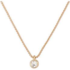 Ted Baker Sininaa Necklace - Gold/Transparent