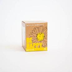 Gift Republic Be Happy Sunflower Kit