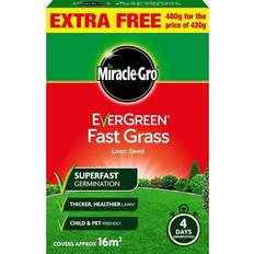 Grass Seeds Miracle-GroÂ® Fast Grass Seed Promo