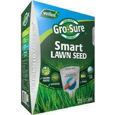 Grass Seeds Gro-Sure Smart Seed Lawn Feed