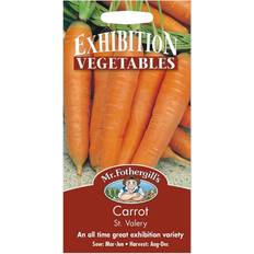 Mr. Fothergill's St Valery Carrot Seeds