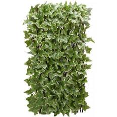 Plastic Trellises Smart Garden Ivy Green Leaf Expandable Trellis 60x180cm