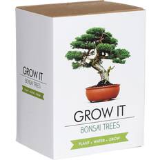 Plant Kits Gift Republic Grow It Bonsai Trees