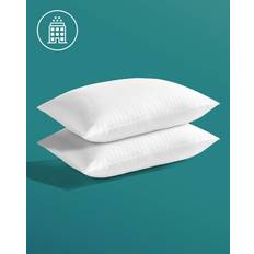 Bed Pillows Kally Sleep Essentials Anti-Allergy Plus Pillows Twin Pack Down Pillow