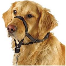 Kerbl Maxi Coach Dog Harness, Black
