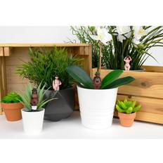 Gift Republic Naked Ramblers - Mini Plant Pot