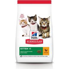 Hill's Cats Pets Hill's Science Plan Dry Kitten Food With Chicken