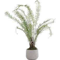 Hill Interiors Boston Large Potted Fern