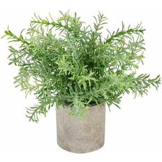 Hill Interiors Rosemary Plant In Stone Effect Pot