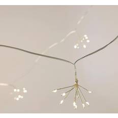 Charles Bentley Mini Dandelion Warm String Light