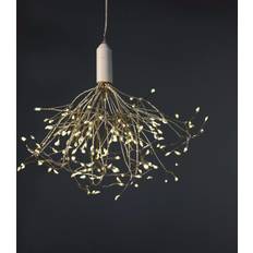 Charles Bentley Single Dandelion Pendant Lamp