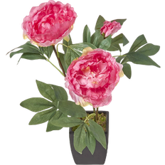Homescapes Peonies Artificial Plant