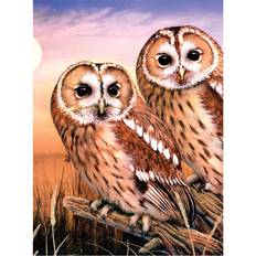 Royal Langnickel Tawny Owls Junior Small Paint By Number Kit