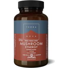 Terranova Supplements Terranova Mushroom Synergy Super-Blend Powder 40G