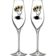 Kosta Boda All About You Champagne Glass 24cl 2pcs