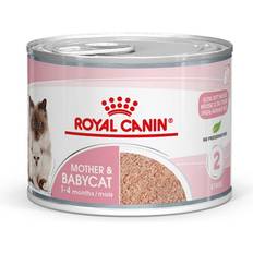 Royal Canin Cats - Wet Food Pets Royal Canin Mother & Babycat Ultra Soft Mousse Saver Pack: