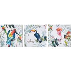 Art for the Home Set of 3 Tropical Amazon Birds Printed Wall Decor