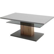 Primo Sella Gray Coffee Table 65x115cm