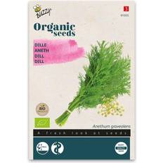 Herb Seeds Buzzy® Organic Dill Seeds