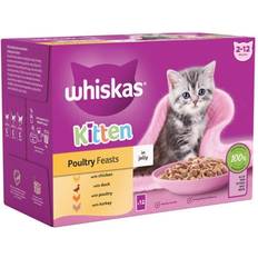 Whiskas cat food Whiskas 85g kitten poultry feasts mixed wet
