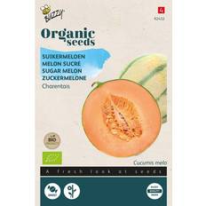 Buzzy® Organic Zuckermelone Charentais BIO