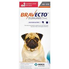 Bravecto Dogs Pets Bravecto For Small Dogs 9.9-22lbs Orange