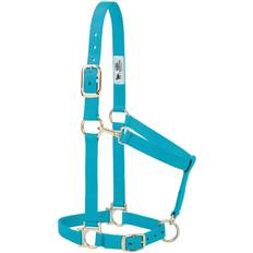 Turquoise Halters & Lead Ropes Weaver Basic Adj Halter w/Snap Turquoise