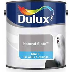 Dulux Grey Paint Dulux Matt Wall Paint Natural Slate 2.5L