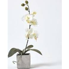 Homescapes Orchid Flowers White Artificial Plant