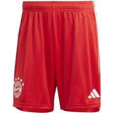 Bundesliga Trousers & Shorts adidas Fc Bayern 23/24 Home Shorts